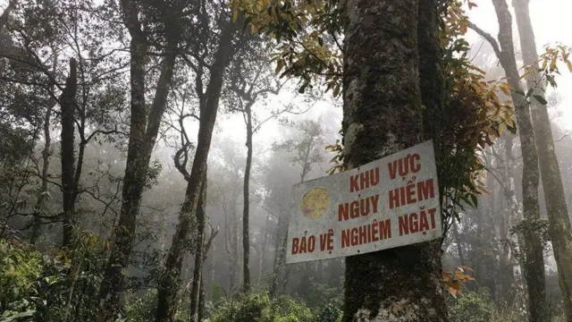 tam đảo