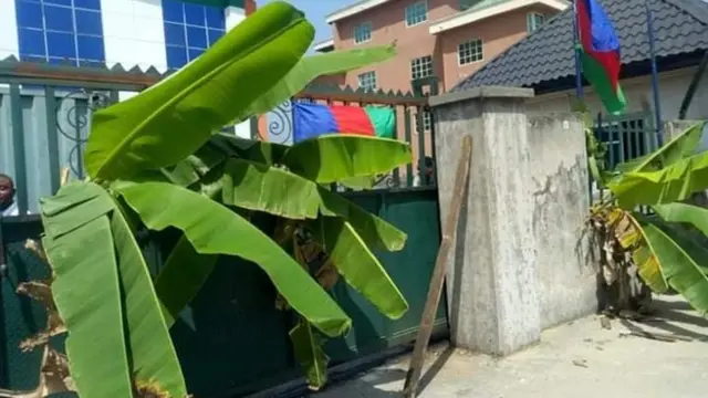IYC use plantain leaf to block PHEDC office