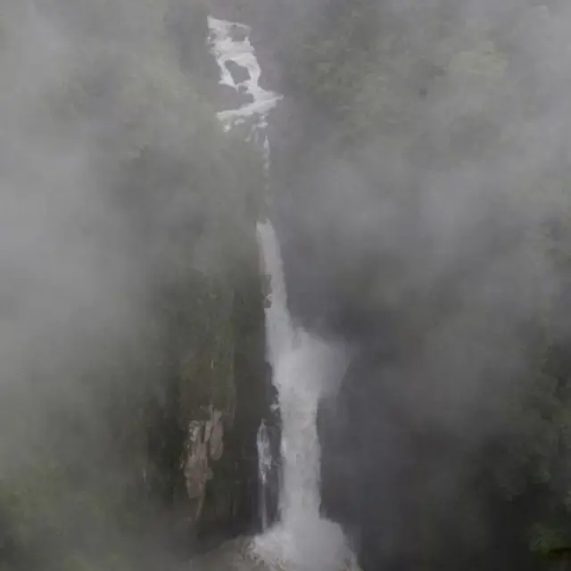 थायलंड, हत्ती दुर्घटना