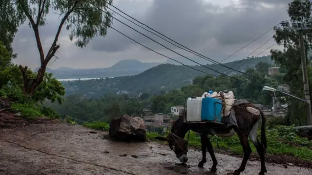 حمار يحمل بعض عبوات المياه