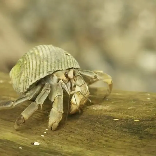 Foto de Oscar Andres Villota