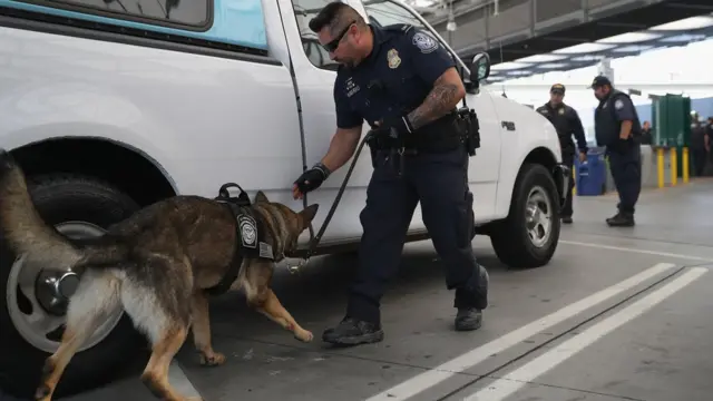 Funcionário revisa automóvel com um cachorro.