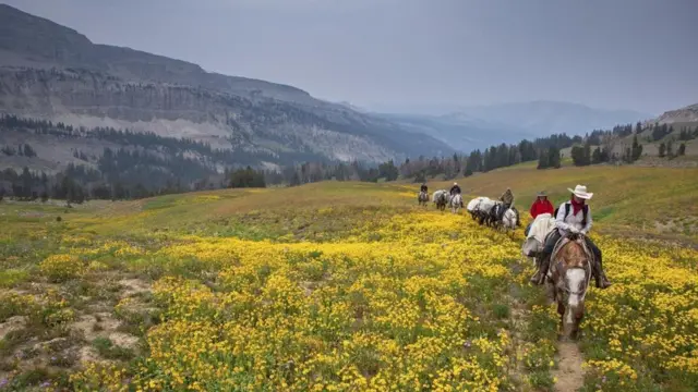 يستعين خبراء آثار المرتفعات بالجياد لنقلهم وحمل أمتعتهم بين الجبال الوعرة