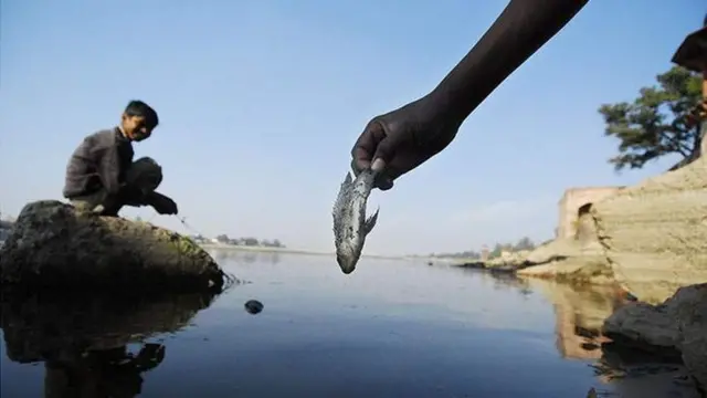 తాజ్‌మహల్