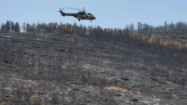 požar, helikopter gasi požar