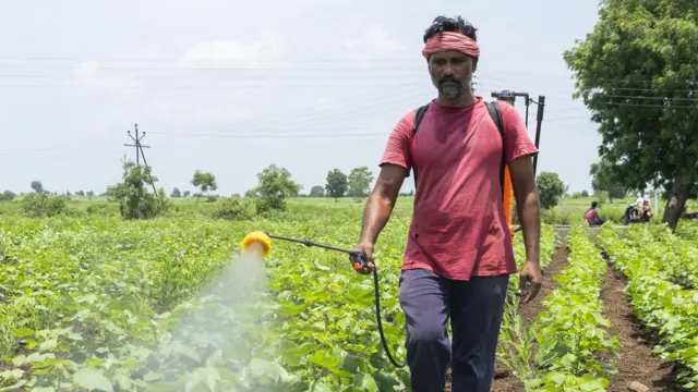 प्रातिनिधिक फोटो