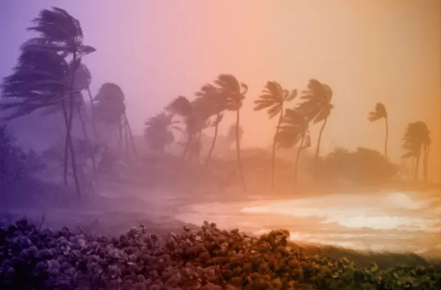 વાવાઝોડું