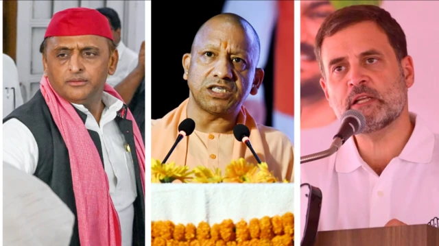 लोकसभा चुनाव