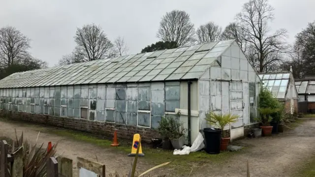 En el jardín amurallado se encuentran situados uno al lado del otro varios invernaderos de jardín compuestos por paneles de vidrio.