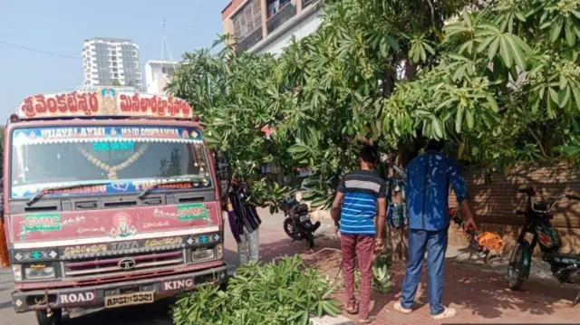 ભૂતિયાં ઝાડ