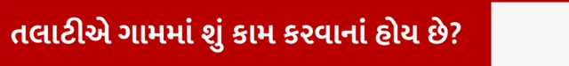 તલાટીએ ગામમાં શુ કામ કરવાના હોય છે?