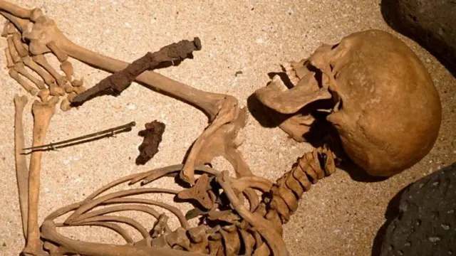 மண்டை ஓடுகள்