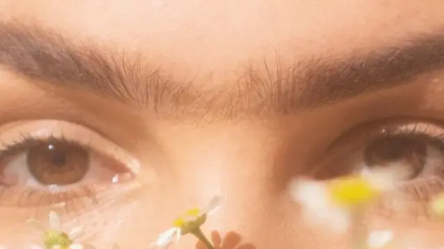 మహిళల శరీరం వెంట్రుకలు