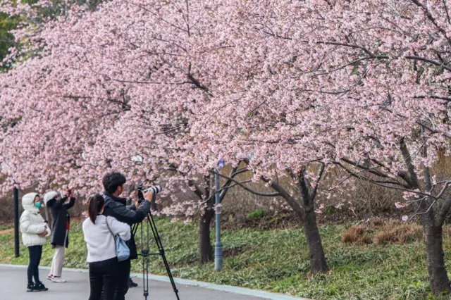 प्रातिनिधिक फोटो