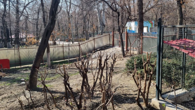 حصارکشی در پارک قیطریه 