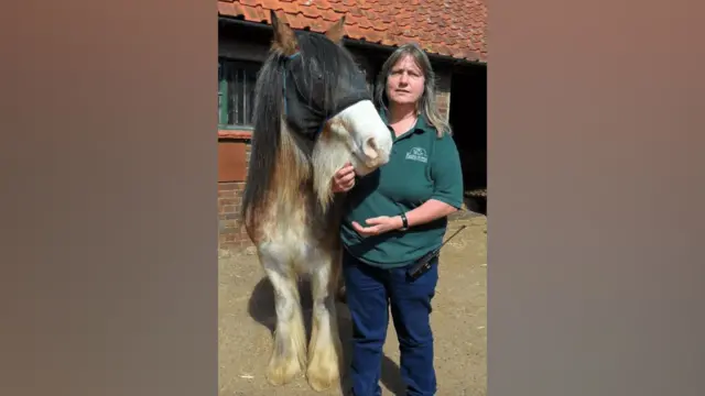 Sue Barton lleva un polo verde oscuro y pantalones azules. Está de pie junto a un caballo blanco y negro, frente a un edificio de ladrillo rojo.