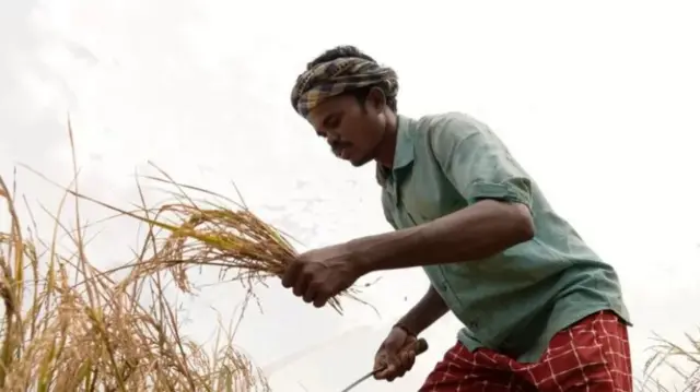 ஒடிஷா பஞ்சம்