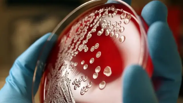 नखं, शास्त्र