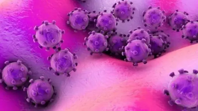 දකුණු කොරියාව,කොරෝනා