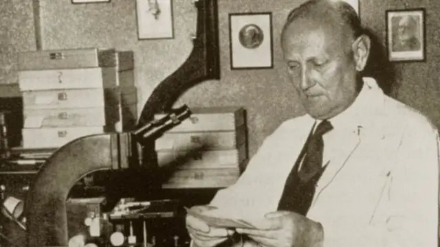 গেরহার্ড ডোমাক