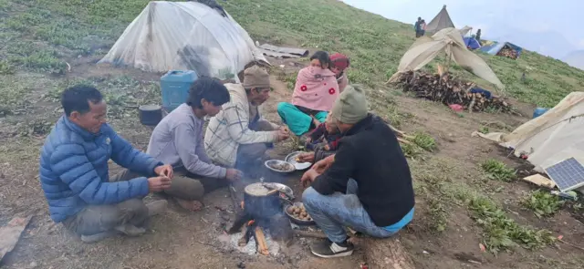 यार्सागुम्बा डोल्पा