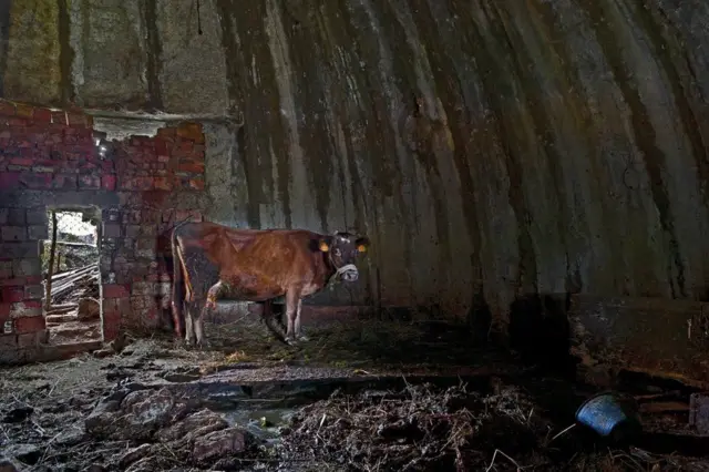 अल्बानिया