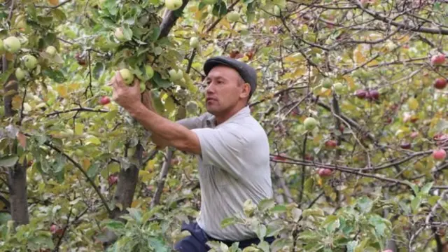 Орто жана чакан бизнес экономиканын өзөгүн түзөт