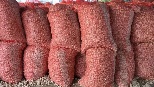 मध्य प्रदेश