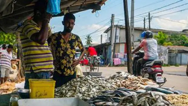 "මස්, මාළු කොහෙ ද? [සිනහවෙමින්] මස් කීය ද කියලව ත් දන්නේ නැහැ," යැයි පිළිතුරු දෙමින් ඔහු අතීතාවර්ජනයක යෙදුණේ, ආර්ථික අර්බුදයට පෙර ඔහු සහ ඔහුගේ මිතුරන් ගත කළ ජීවිතය පිළිබඳව සිහිපත් කරමිනි.