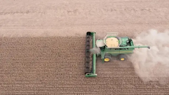  சோயாபீன், இறக்குமதி, சீனா, பிரேசில், அர்ஜென்டினா