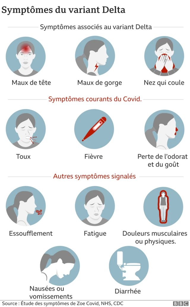 Graphique des symptômes du variant Delta