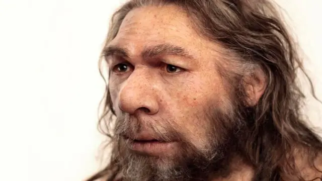 Neandertal