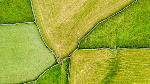 સામાન્ય રીતે જમીનની ખરીદી અને વેચાણ બાબતે લોકોમાં અનેક ગેરસમજ હોય છે