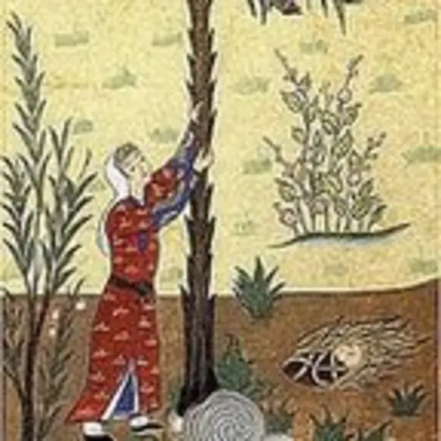 कुरानमा उल्लिखित मेरी