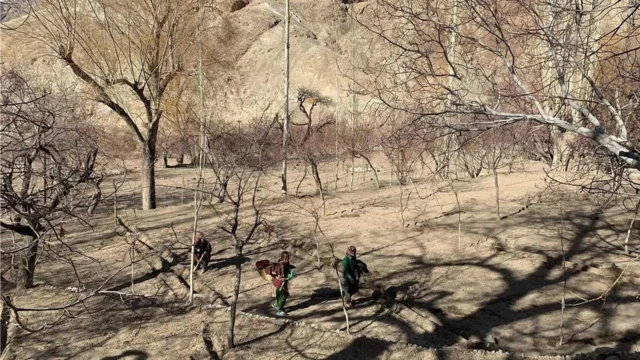 જળવાયુ પરિવર્તન 