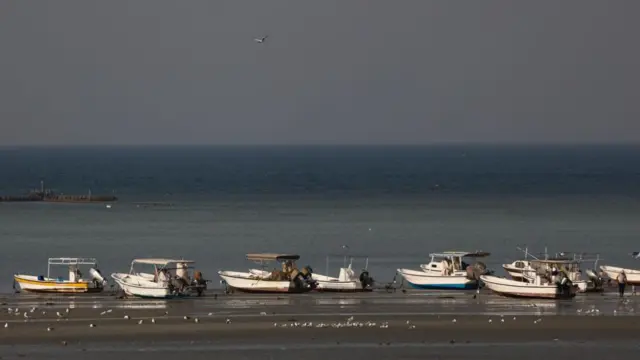 மத்திய கிழக்கு நாடுகளுக்கு வேலைக்குச் சென்ற தமிழ்நாட்டு மீனவர்களின் நிலை என்ன?