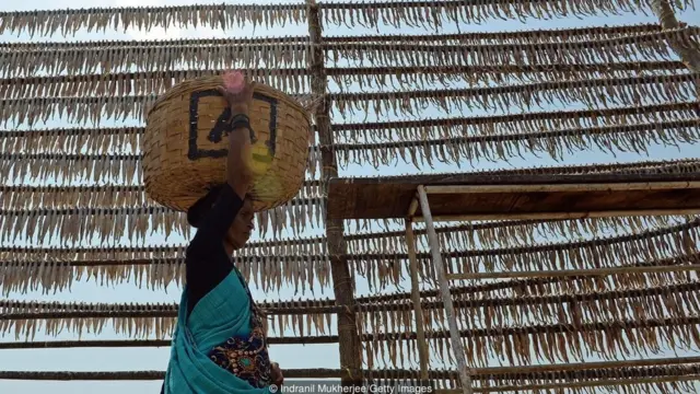 బాంబే డక్