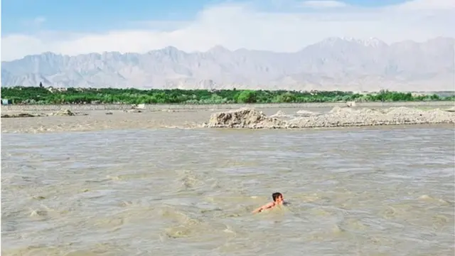 صیاد