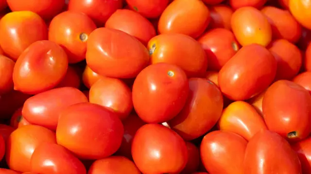 Tomatoes