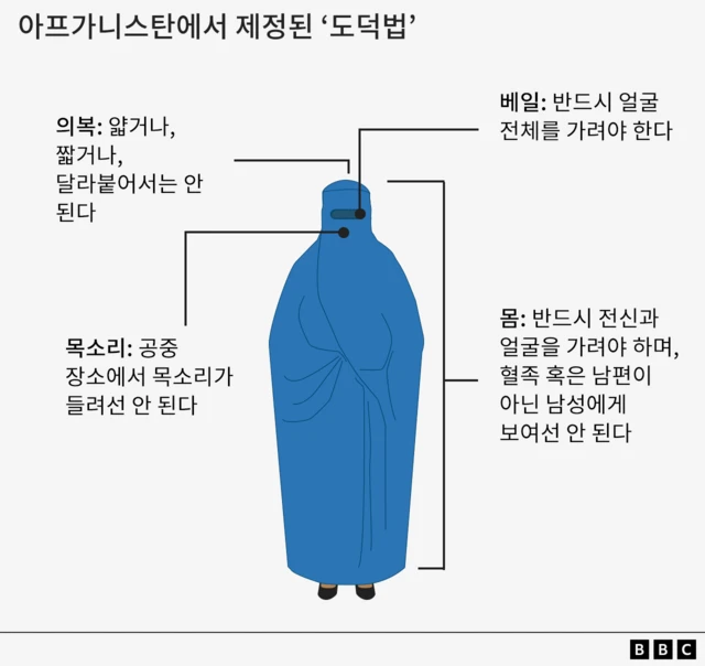 여성에 관한 규제를 다룬 그래픽