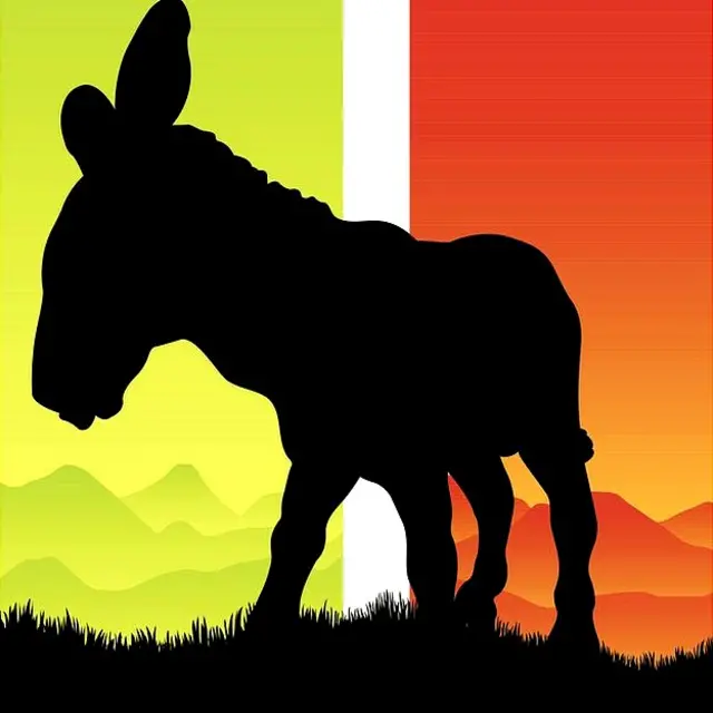 silueta de burro