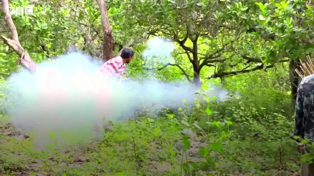 టపాసులు