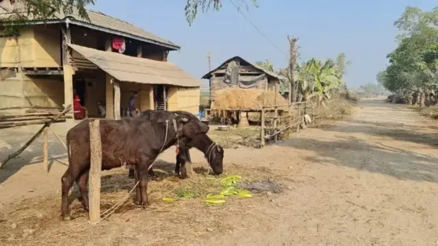 बस्ती स्थानान्तरण जस्ता चुनौती छन् 