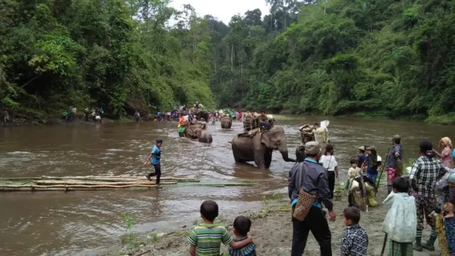 တနိုင်း