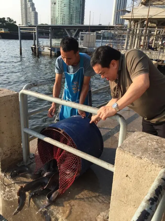 upakit.pachariyangkun