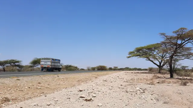 Daandii Marsabiit geessu