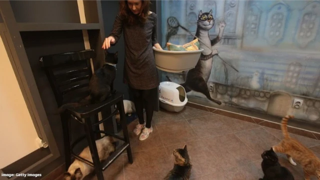 Restoran