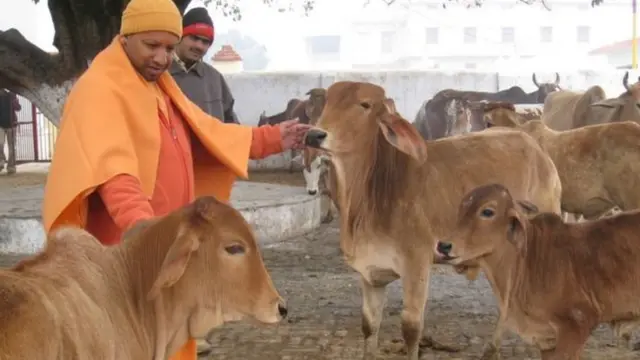 योगी आदित्यनाथ