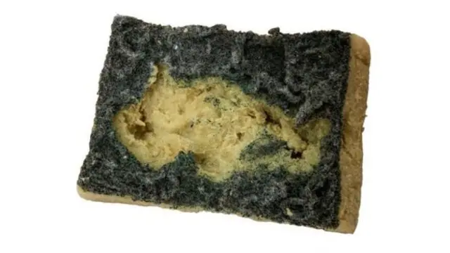 किचन स्पंज