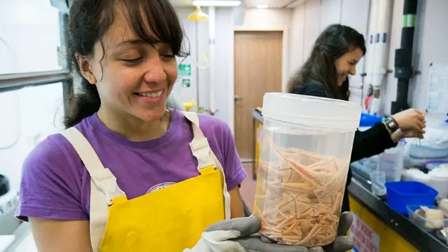 Guadalupe Bribiesca-Contreras